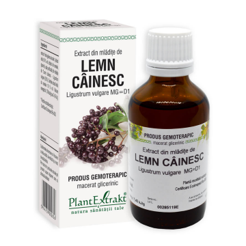 Extract din mladite de Lemn Cainesc, 50 ml, Plant Extrakt Extract din mladite de Lemn Cainesc, 50 ml, Plant Extrakt