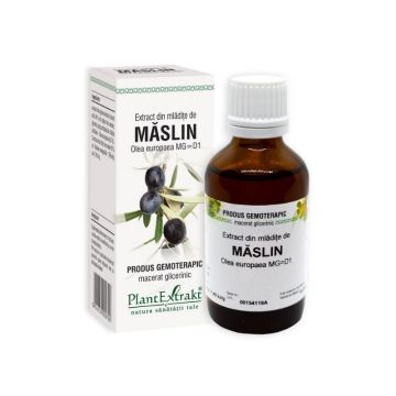 Extract din mladite de Maslin, 50 ml, Plant Extrakt Extract din mladite de Maslin, 50 ml, Plant Extrakt