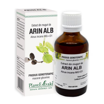 Extract din muguri de Arin Alb, 50 ml, Plant Extrakt Extract din muguri de Arin Alb, 50 ml, Plant Extrakt