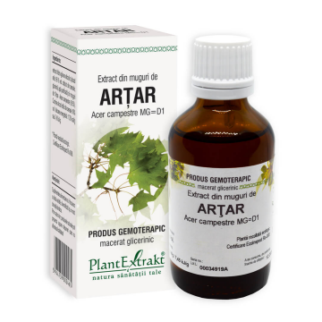 Extract din muguri de Artar, 50 ml, Plant Extrakt Extract din muguri de Artar, 50 ml, Plant Extrakt