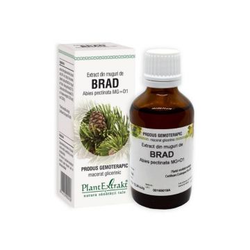 Extract din muguri de Brad, 50 ml, Plant Extrakt Extract din muguri de Brad, 50 ml, Plant Extrakt