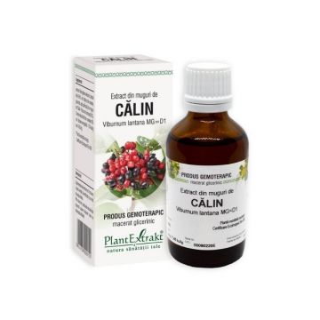 Extract din muguri de Calin, 50 ml, Plant Extrakt Extract din muguri de Calin, 50 ml, Plant Extrakt