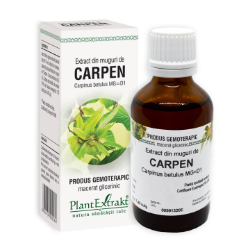 Extract din muguri de Carpen, 50 ml, Plant Extrakt Extract din muguri de Carpen, 50 ml, Plant Extrakt