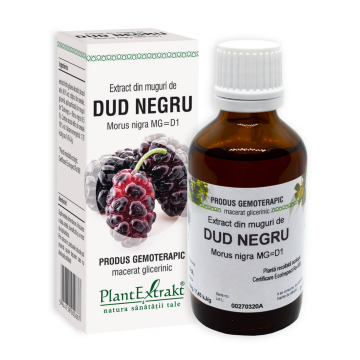 Extract din muguri de Dud Negru, 50 ml, Plant Extrakt Extract din muguri de Dud Negru, 50 ml, Plant Extrakt