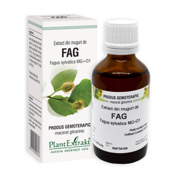 Extract din muguri de Fag, 50 ml, Plant Extrakt Extract din muguri de Fag, 50 ml, Plant Extrakt