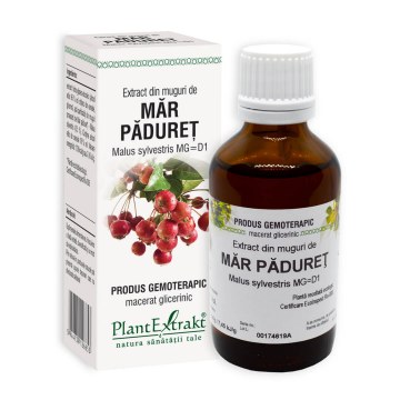Extract din muguri de Mar Paduret, 50 ml, Plant Extrakt Extract din muguri de Mar Paduret, 50 ml, Plant Extrakt