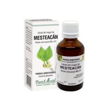Extract din muguri de Mesteacan, 50 ml, Plant Extrakt Extract din muguri de Mesteacan, 50 ml, Plant Extrakt