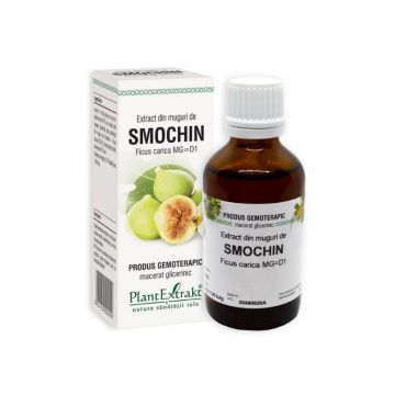 Extract din muguri de Smochin, 50 ml, Plant Extrakt Extract din muguri de Smochin, 50 ml, Plant Extrakt