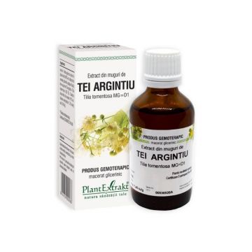 Extract din muguri de Tei Argintiu, 50 ml, Plant Extrakt Extract din muguri de Tei Argintiu, 50 ml, Plant Extrakt