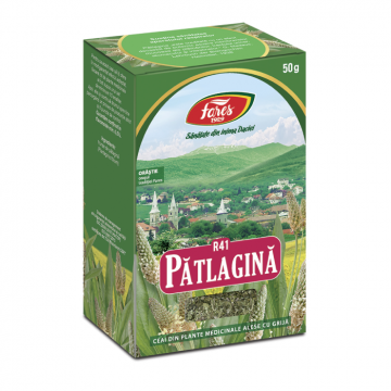 Ceai Patlagina frunze R41, 50 g, Fares