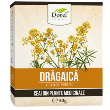 Ceai Dragaica Dorel Plant 50gr